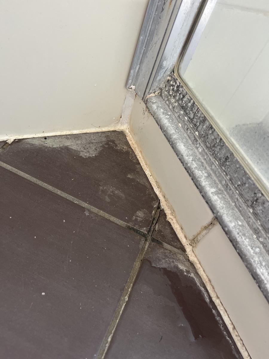 Ensuite shower